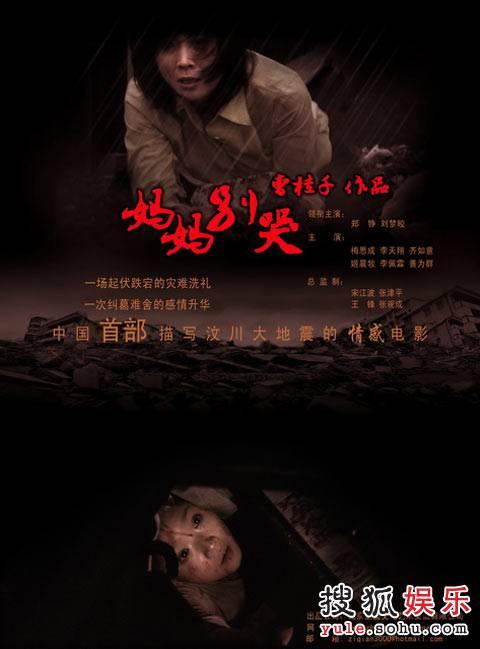 买个假的瑞典护照